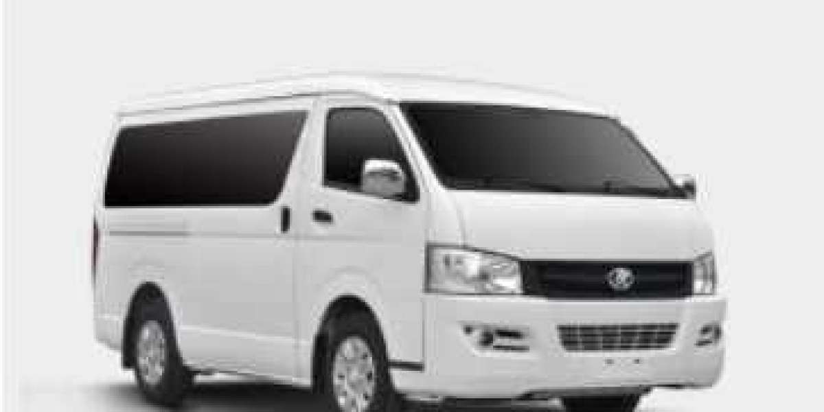 mini-bus:Is it for the whole family or is it only for a single person