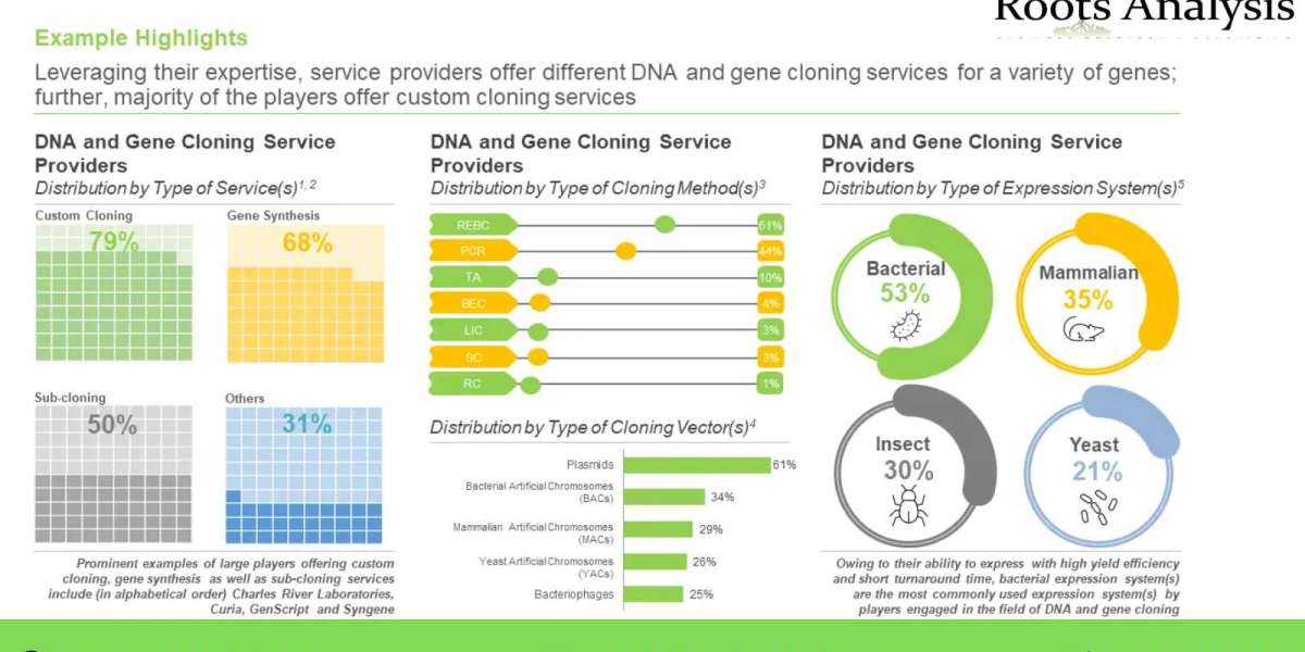 DNA and Gene Cloning Services market Professional Survey Report by 2035