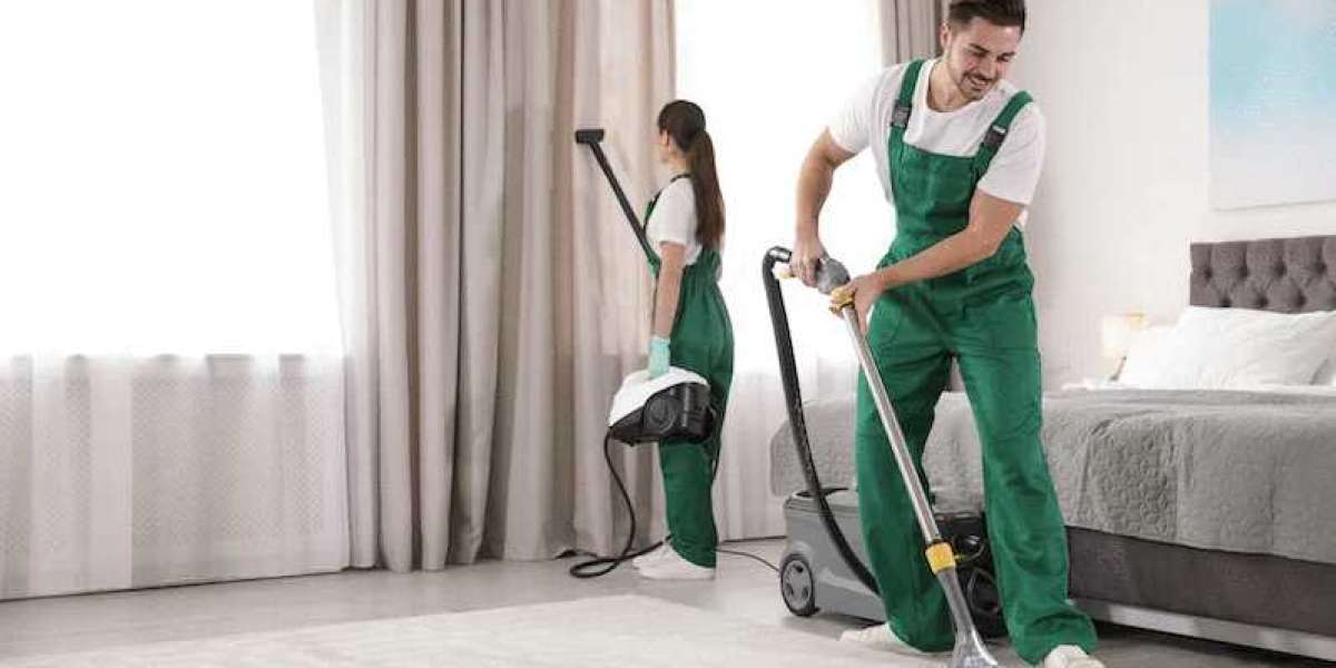 Understanding the Advantages of Hiring Professional Carpet Cleaners