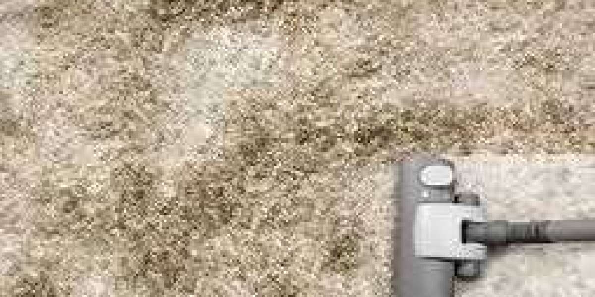 Professional Carpet Cleaning Services at Your Doorstep