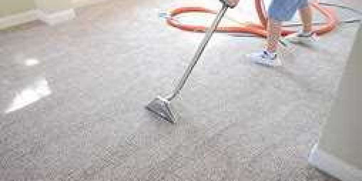 How Professional Carpet Cleaning Services Go Green