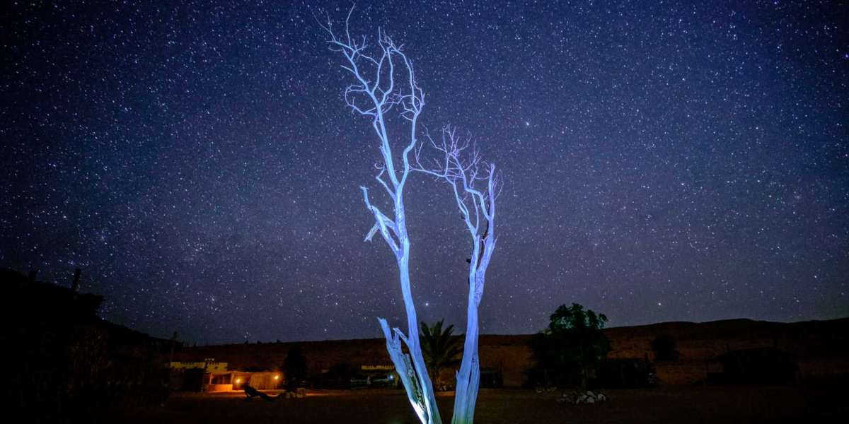 Celestial Rhapsodies: Meteor Showers Painting Oman’s Desert Sky