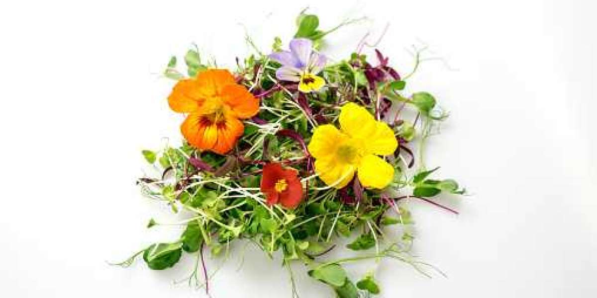 Edible Flowers Market Competitors, Growth Opportunities, and Forecast 2032