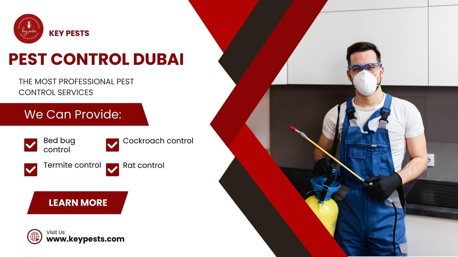 Pest control Dubai : your smartest choice - Key Pests