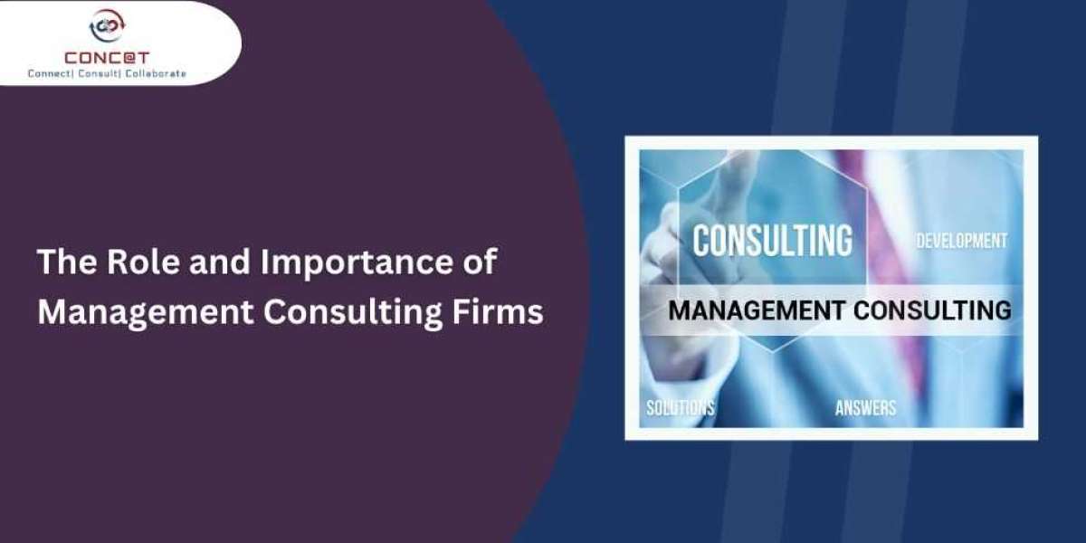 The Role of a Management Consulting Firm