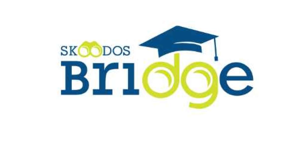 Skoodos Bridge: Your Gateway to Success in the World of Education