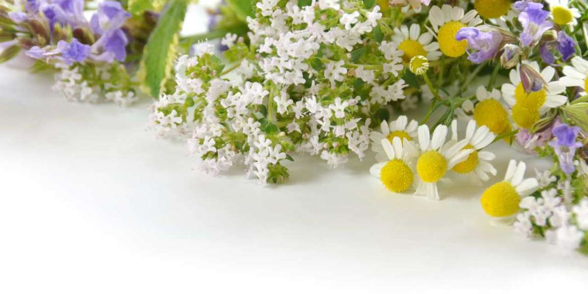 Discover the Transformative Herbalife Preferred Customer Advantages