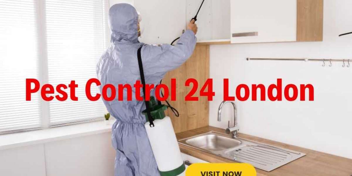 Pest Control Ealing: Robust Approaches to a Bug-Free Ambience