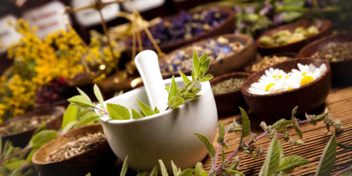 Devenir Distributeur Herbalife : Comment Lancer Votre Entreprise dans le Domaine de la Nutrition