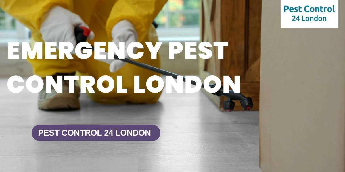 An Emergency Pest Control in London Available 24 Hours a Day.