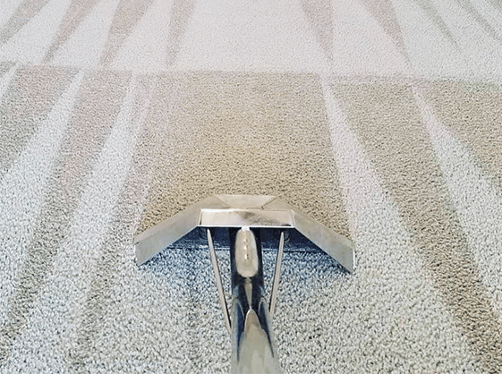 Carpet Cleaning Rayleigh SS6 | 20 000+ Positive Reviews