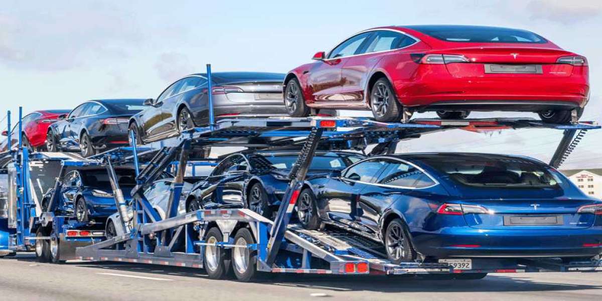 What types of vehicles do car hauling companies typically transport?