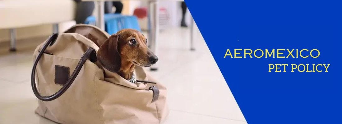 Aeromexico pet policy Explained - Travelenergy - Medium