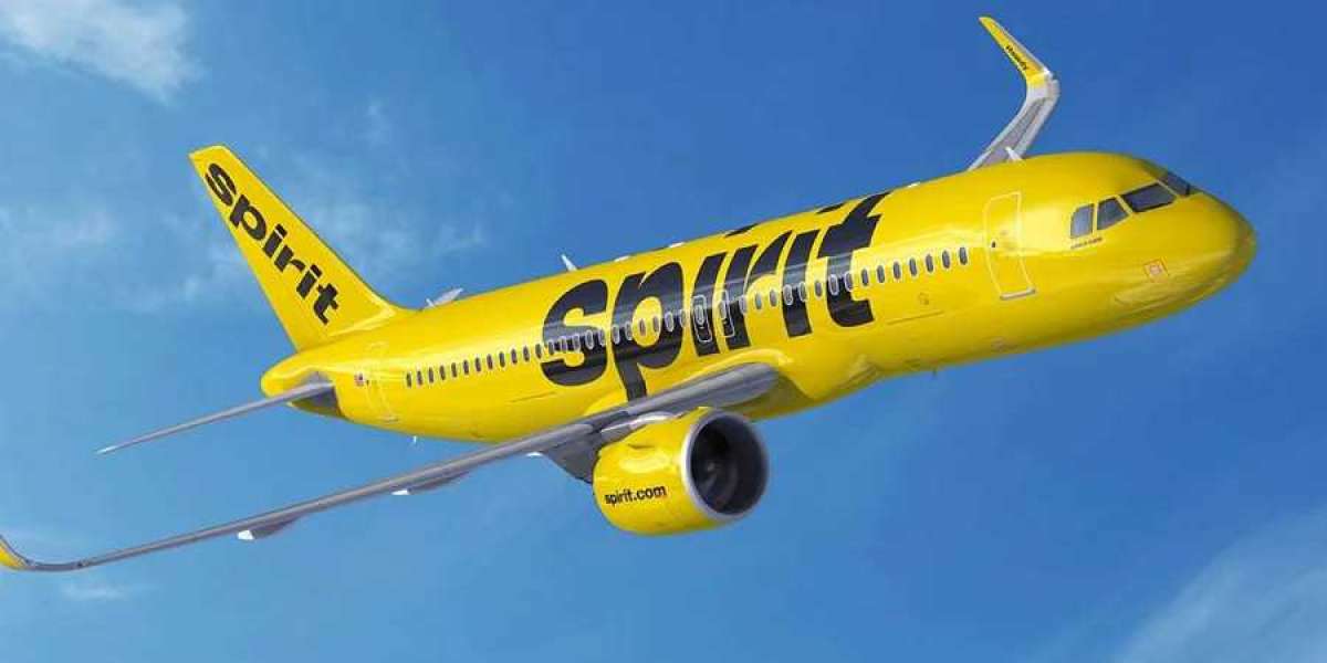 What are the Benefits of Spirit Airlines Frequent Flyer program?