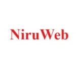 Niru Web
