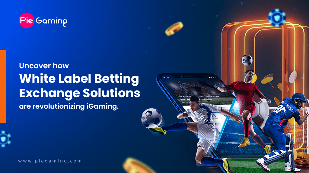 White Label Betting Exchange Solutions: Explained in Detail