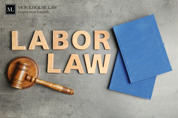 Top Reasons to Hire a Competent Labour Lawyer Toronto | TheAmberPost