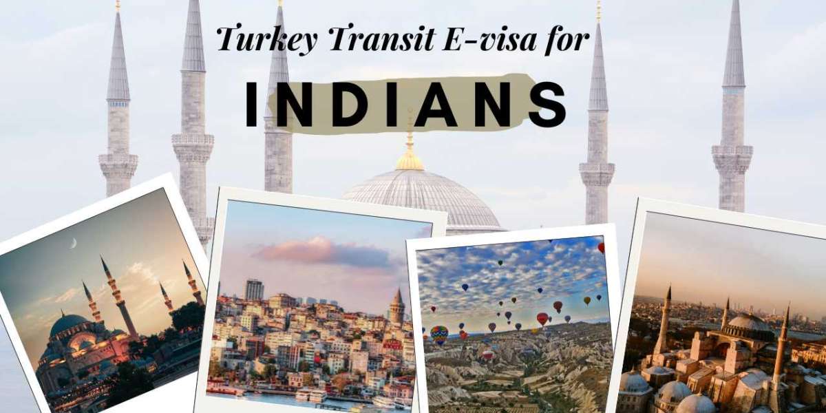 turkey transit e-visa for Indian