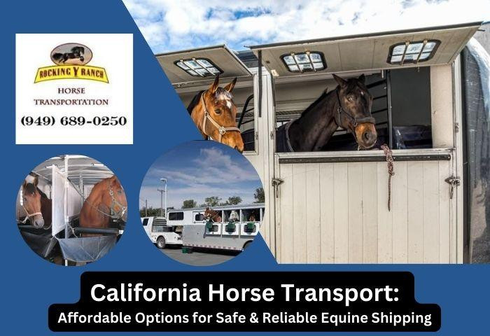 California Horse Transport: Affordable Options for Safe & Reliable Equine Shipping - JustPaste.it