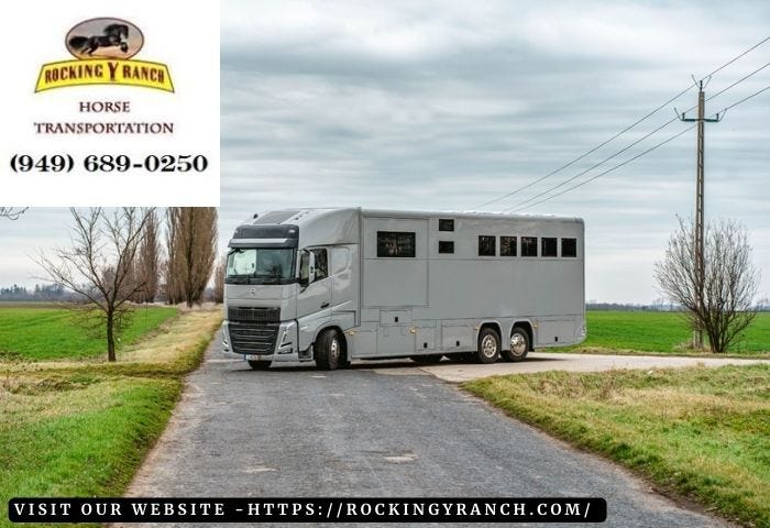 Rocking Y Ranch: Your Trusted Partner in Equine Transportation | by Ranchrockingy | May, 2024 | Medium