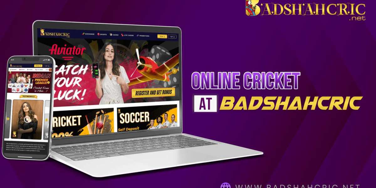 IPL Cricket Betting ID Online 2024 | Badshahcric