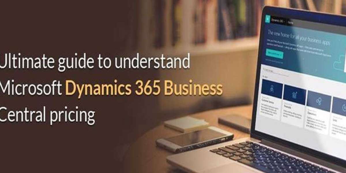 Understanding the Cost Structure of Microsoft Dynamics 365 Business Central