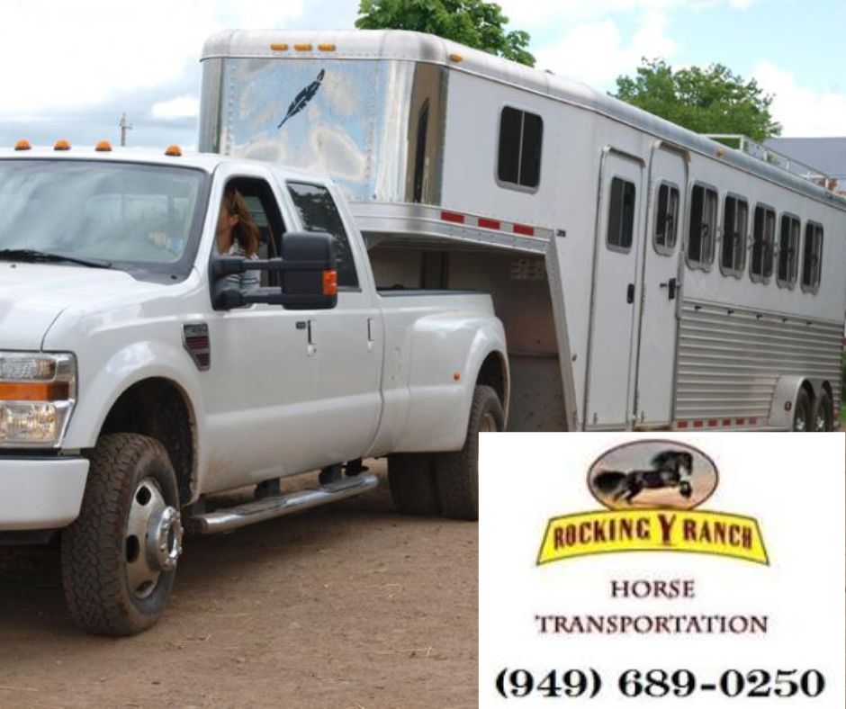Nationwide & California Horse Transport: Safe, Reliable, and Affordable | Rocking Y Ranch – Rocking Y Ranch