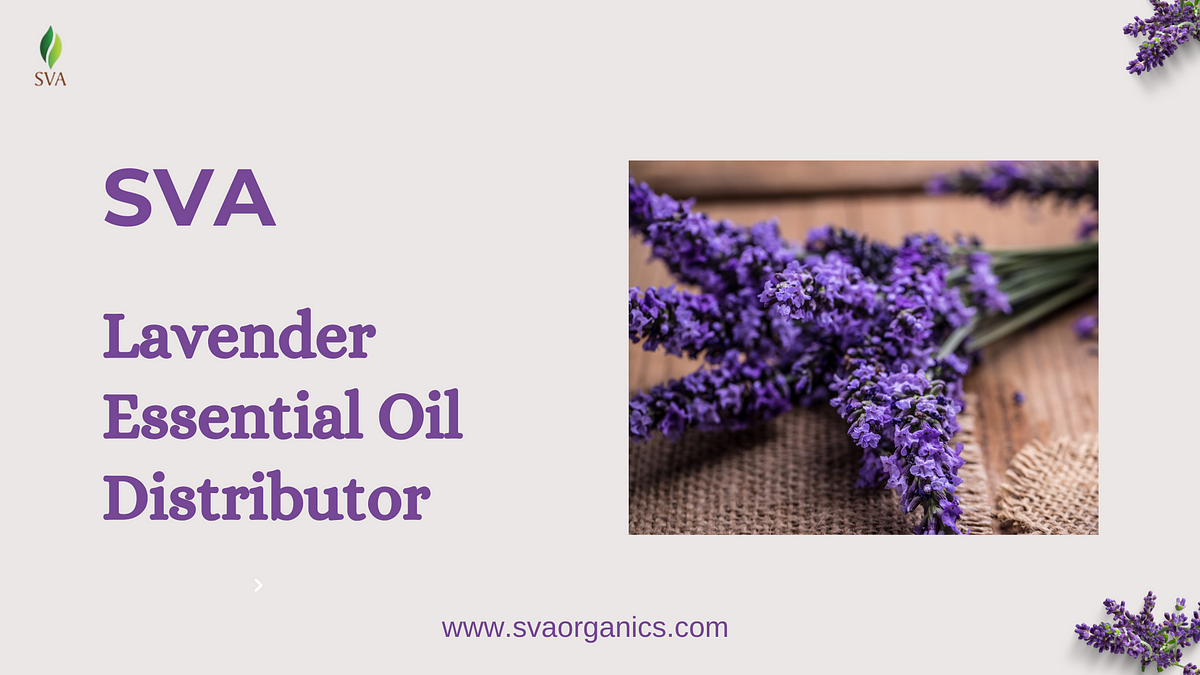 The Business Potential of Lavender Essential Oil Distributor | by svaorganics | Jun, 2024 | Medium