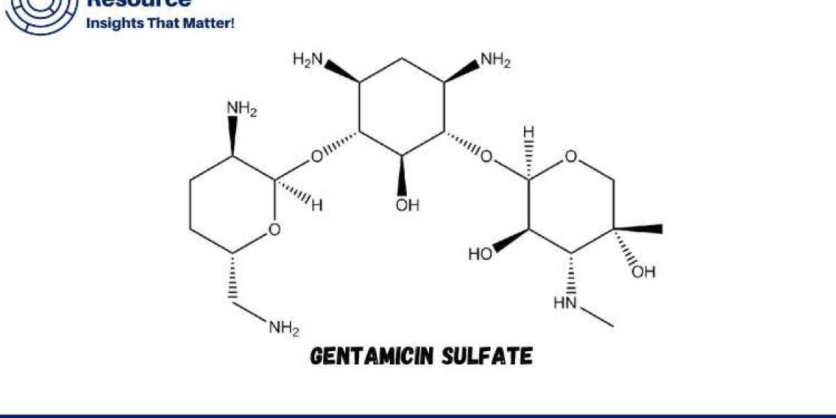 Comprehensive Analysis of the Gentamicin Sulfate Production Process: Detailed Cost Insights and Market Overview