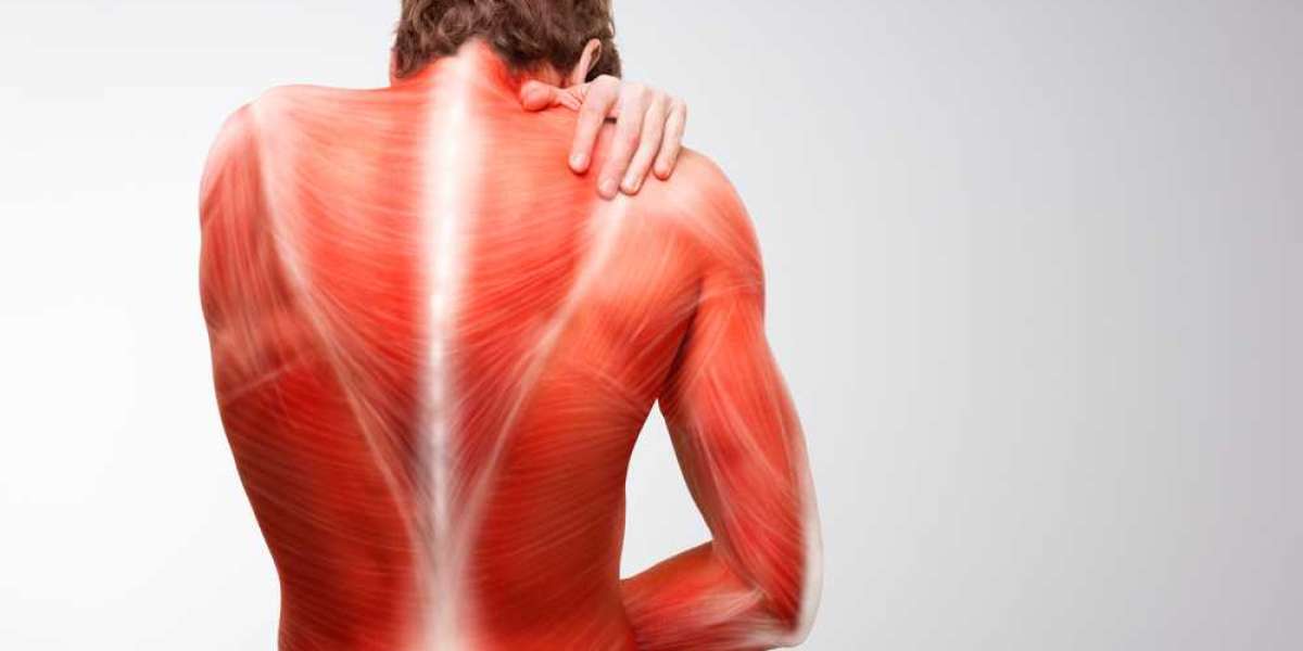 Practical Ways to Manage and Reduce Muscle Pain