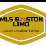 MLS Boston Limo