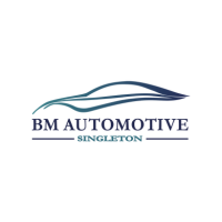 BM Automotive Singleton - AUTO - VEHICLE REPAIR SERVICES - Business Networking