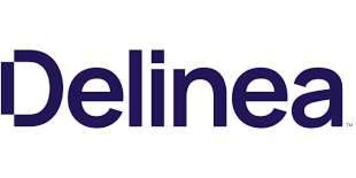 Delinea Online Programming Courses - Techsolidity