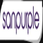 Digital Marketing Company in Pune_ Sanpurple