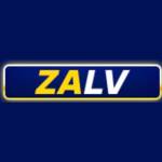 9Zalv Com