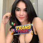 Transtogel Resmi Terpercaya