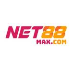 Net88 Maxcom