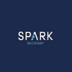 Spark Recovery