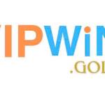 vipwin gold