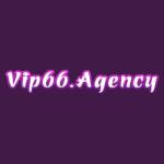 Vip66 Agency