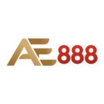 AE888 247