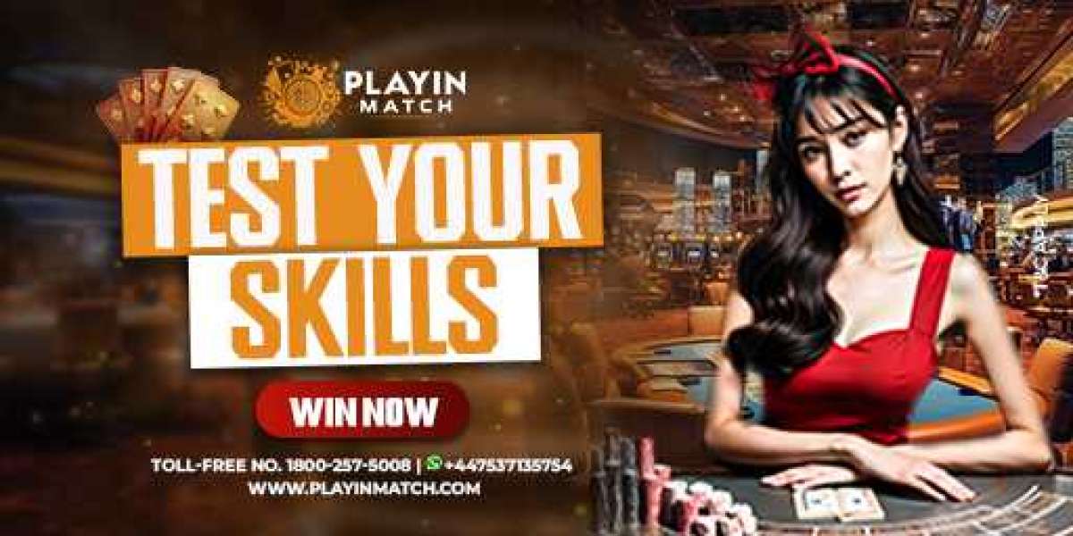 Top Online Casino Games to Play in 2024