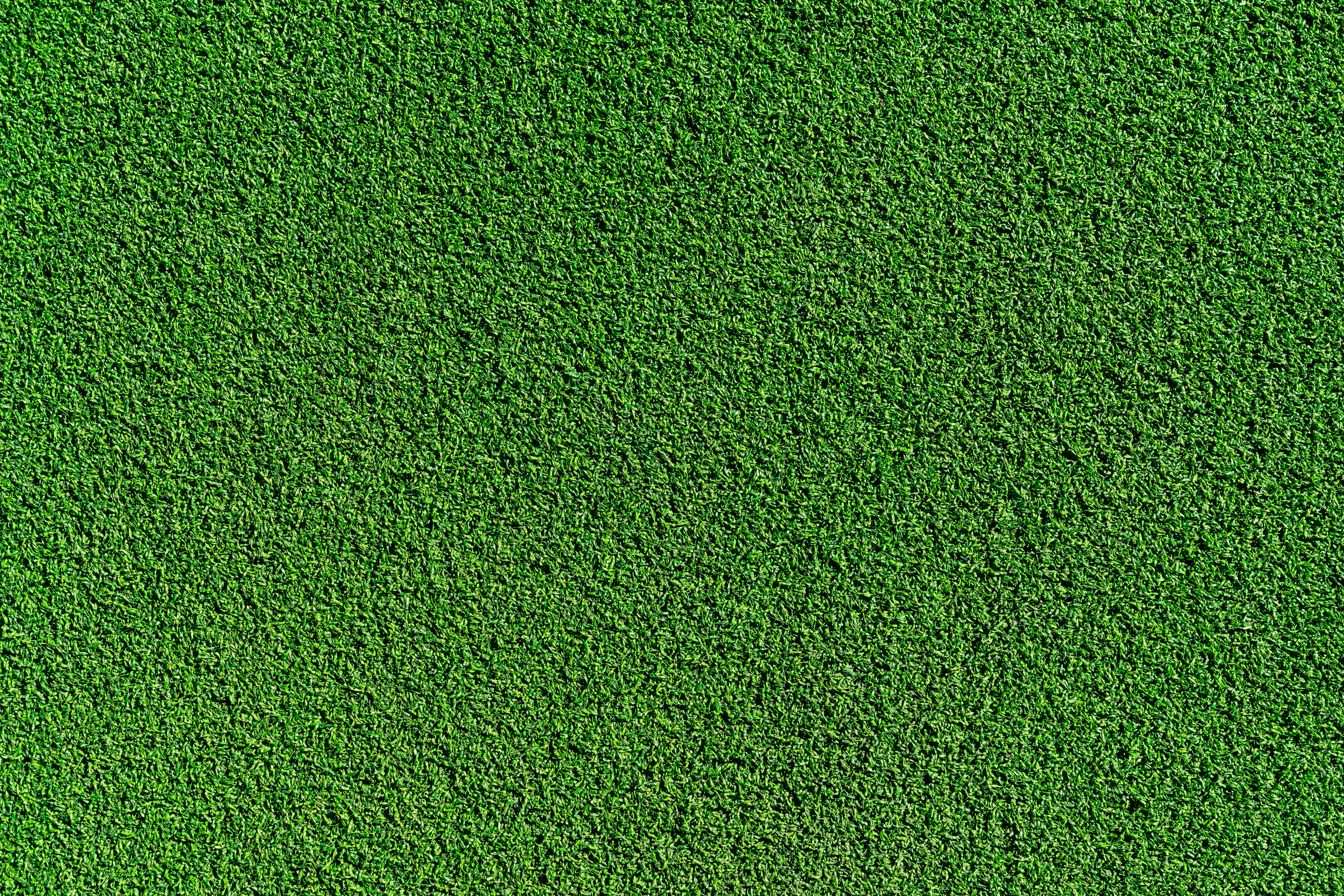 Top benefits of artificial grass for year-round green spaces – Site Title