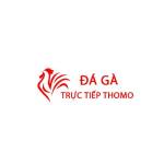 Đá Gà Trực Tiếp Thomo Hôm Nay